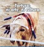 75_Tortura.jpg